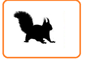 020068uk-8fb9-299x204.png