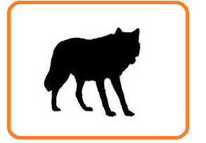 020068ul-ceff-293x204.png