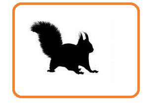 0200695n-502c.png