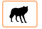 0200696s-3c10-149x103.png