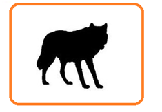 0200696s-3c10-149x103.png