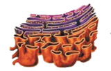 02006aw7-a92d-160x102.png