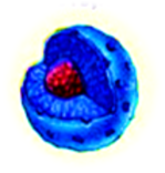 02006aw9-6794-149x156.png