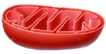 02006awb-3907-152x78.png