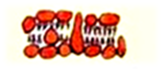 02006awc-5002-163x69.png
