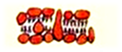 02006awc-5002-163x69.png