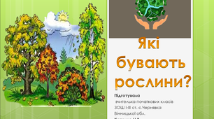Презентація "Які бувають рослини?"