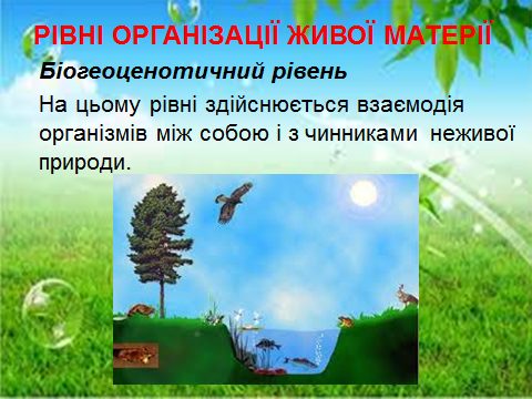 02006b4t-3515.png