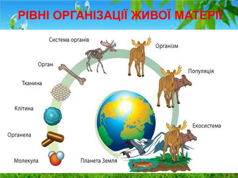 02006b53-e625.png