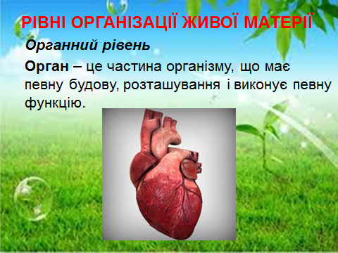 02006b7a-2a8a.png
