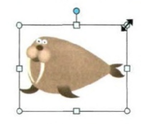 02006ba5-22d7.png