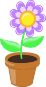02006bgl-cc78-91x169.png