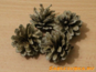 02006chj-9682-87x65.png
