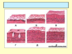 02006d5e-23f8-940x705.png