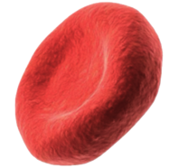 02006d8w-01ef-197x186.png