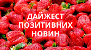 Інформаційний привід та партнерська програма - що спільного?