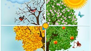 Lesson on the theme:" Of the seasons".