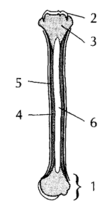 02006etd-0b53-161x314.png