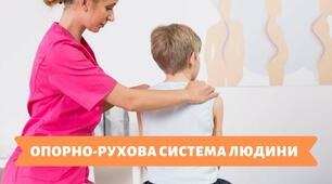 (Копія) Опорно-рухова система. Скелет людини.