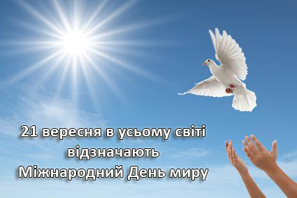 02006g80-34c2.png