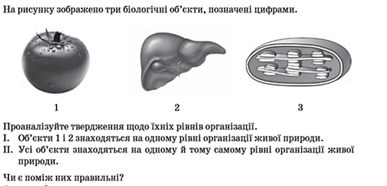 02006gy6-7e92.png
