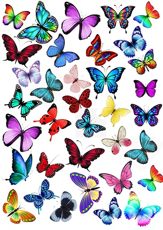 02006h9c-e640-506x715.png