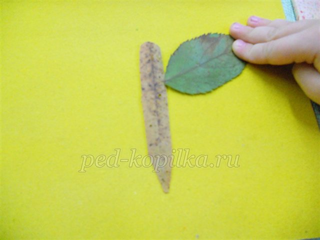 02006hbx-01ef-640x480.png