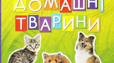 Заняття з англійської мови на тему: «Domestic Animals» (старша група).