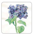 02006k89-ed2e-168x177.png