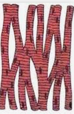 02006kkn-ae27.png