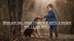 Новий друг
