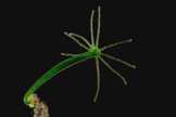 02006klg-76f1-186x124.png