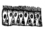 02006kml-74f6-176x116.png