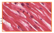 02006kmu-3553-214x133.png