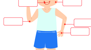 The Parts of the Body
