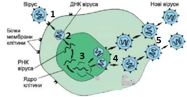 02006ma9-b0d3-423x219.png