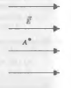 02006mg5-ed49-187x232.png