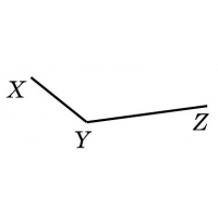 02006o4o-8881.png