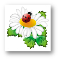 02006oa1-1f70-200x203.png