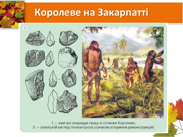 Історія, 6 клас, Королевська стоянка, палеоліт