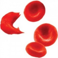 02006ooe-7e5f-226x228.png