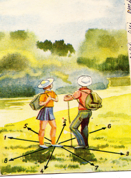 02006p43-0a67.png