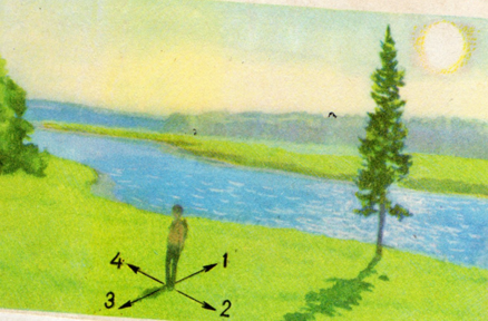 02006p55-4cb0-438x288.png