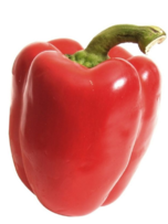 02006q0f-33f9-152x203.png