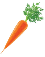 02006q0h-6cf8-152x190.png