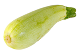 02006q0o-7630-156x105.png