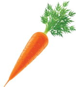 02006q0y-430c-157x178.png
