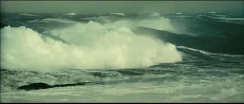 02006q88-d8f1.gif