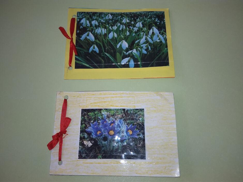 02006qdp-c507-940x705.jpg