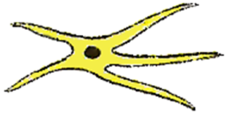 02006trh-d89b.png